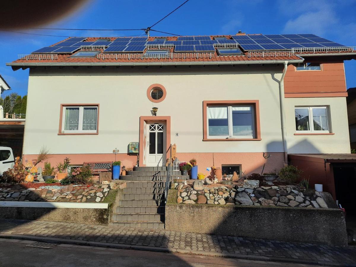 Ferienwohnung Friedel Und Kaethe Oberthal 外观 照片